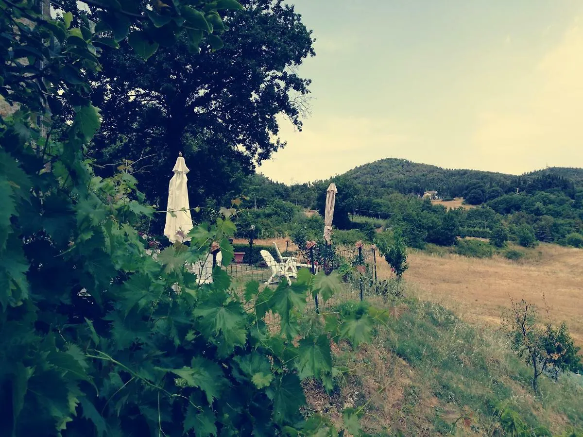 I Castagnini Apartment Montecatini Val di Cecina 0*,  Italy