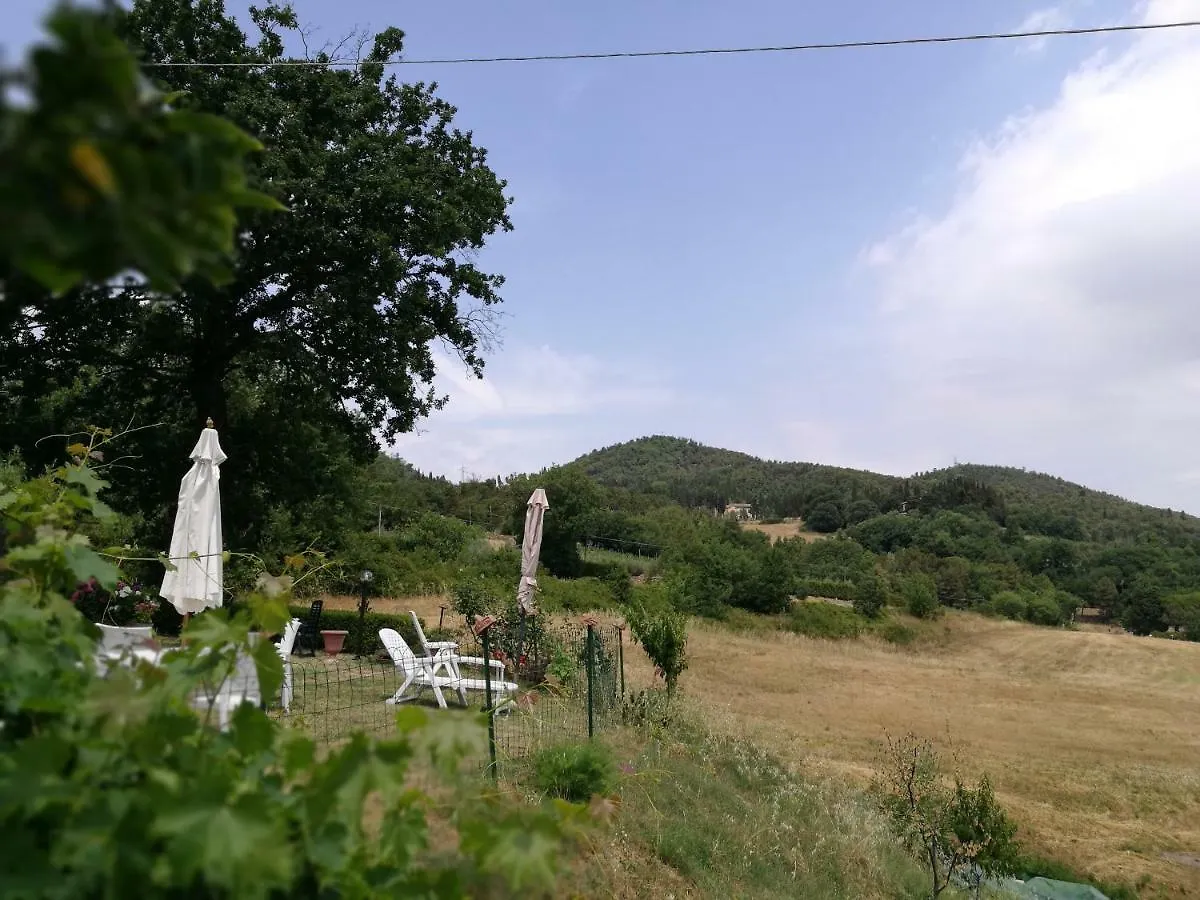 I Castagnini Apartment Montecatini Val di Cecina
