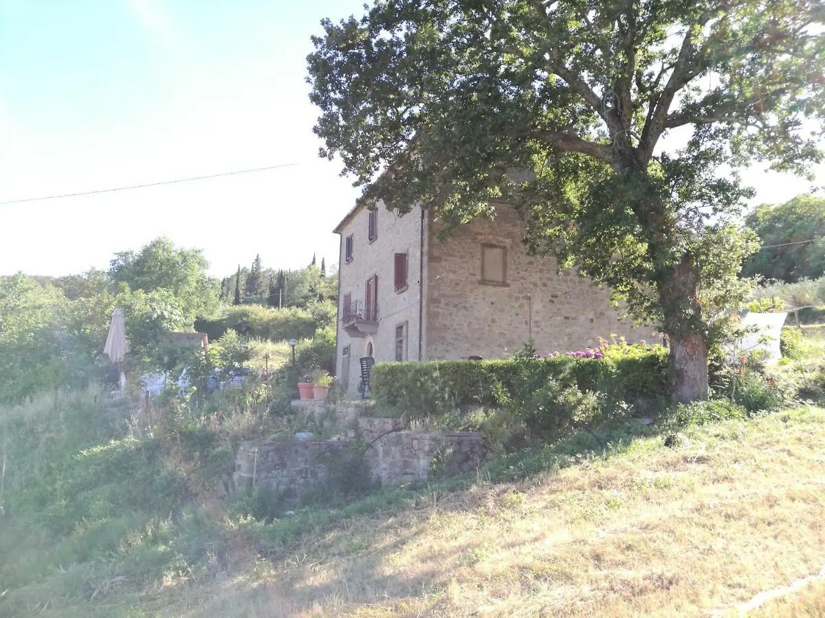 I Castagnini Apartment Montecatini Val di Cecina Italy