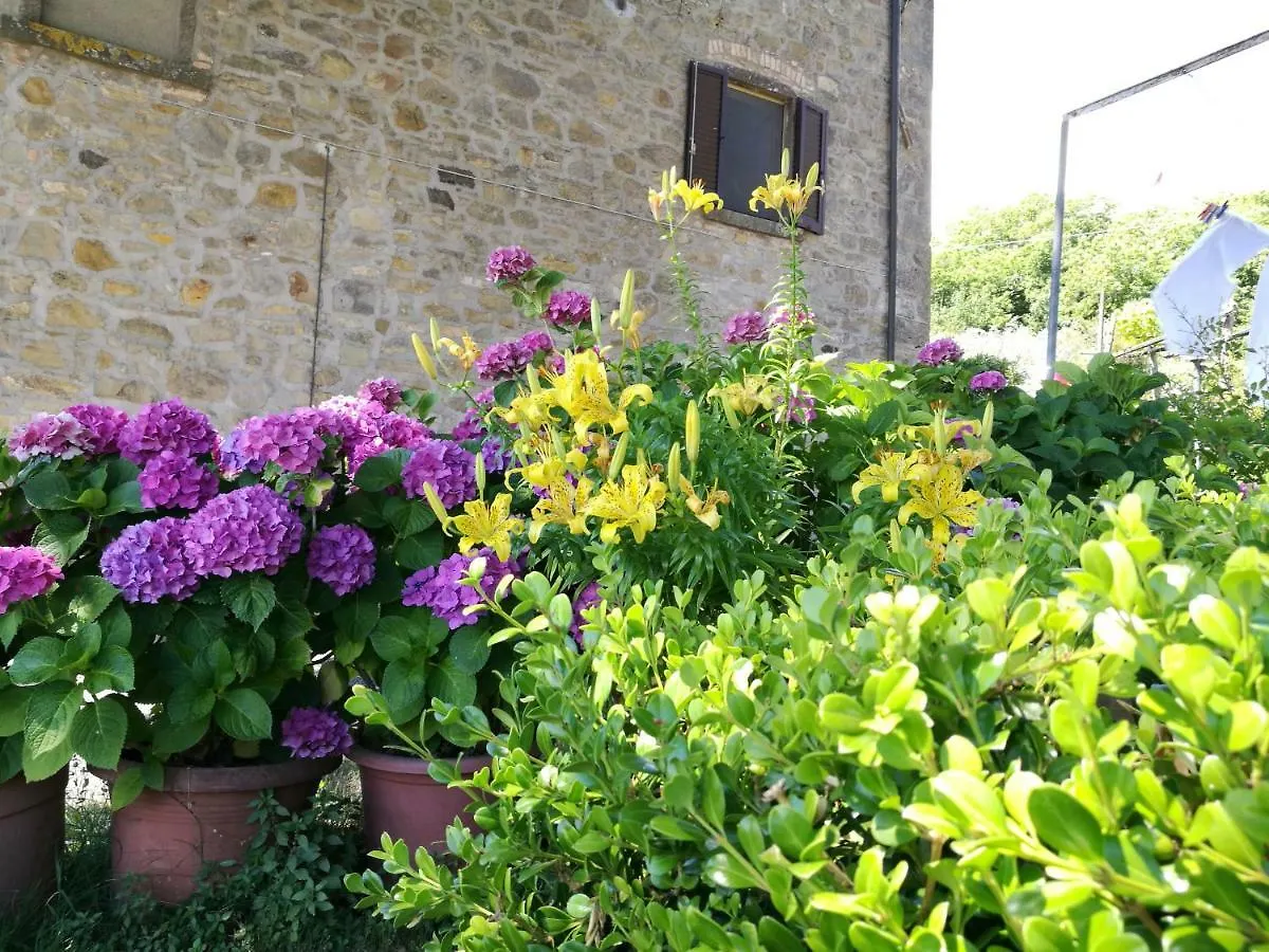 I Castagnini Apartment Montecatini Val di Cecina