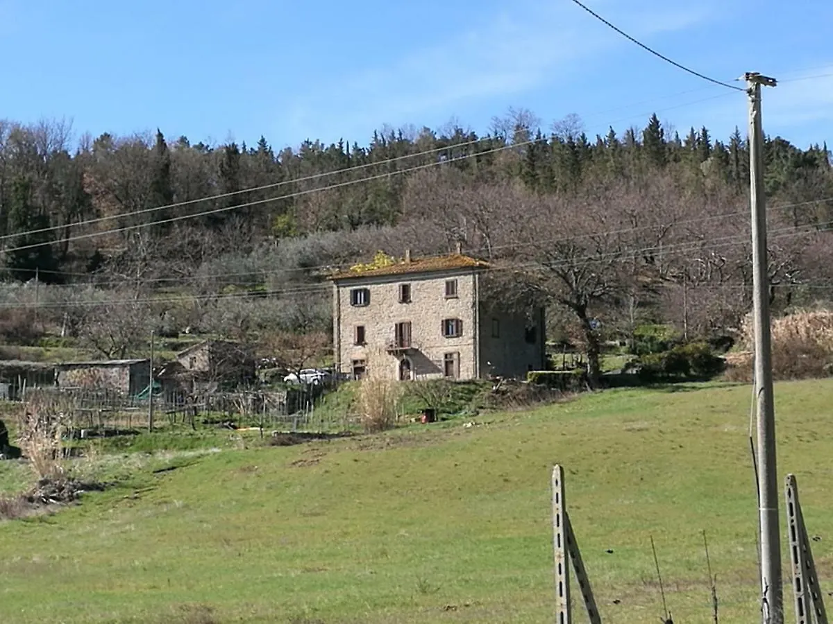 I Castagnini Apartment Montecatini Val di Cecina